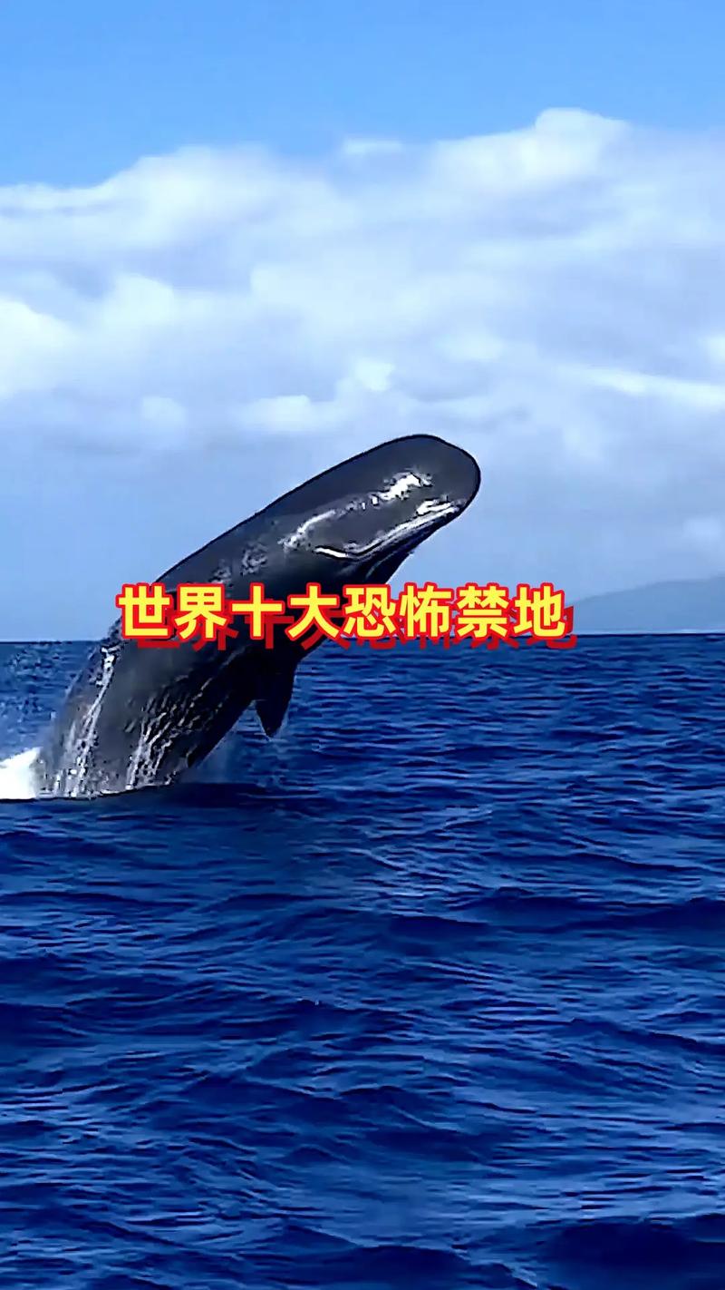 全世界前十未解之谜真相？世界前十未解之谜视频讲解？  第4张