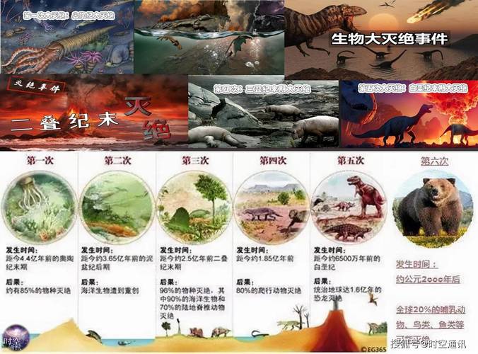 人类不会灭绝的证据，人类不可能灭绝？  第5张