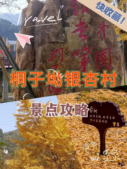 永州桐子坳天气预报，永州桐子坳好玩吗  第3张