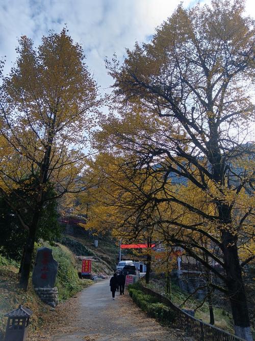永州桐子坳天气预报，永州桐子坳好玩吗  第4张