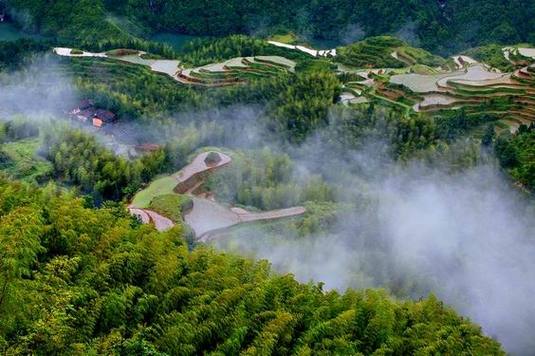 泰顺天气15天预报？泰顺天气预报30？  第3张