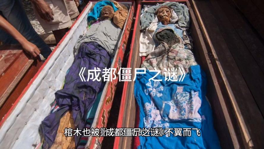 四川学校丧尸事件，四川学校丧尸事件真相？  第1张