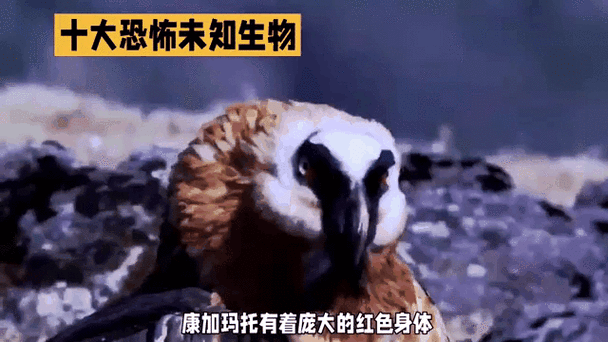 世界上最恐怖的动物是什么动物？你知道世界上最恐怖的动物是什么吗？  第2张