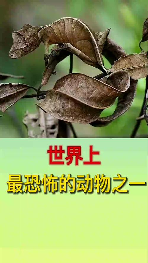 世界上最恐怖的动物是什么动物？你知道世界上最恐怖的动物是什么吗？  第6张