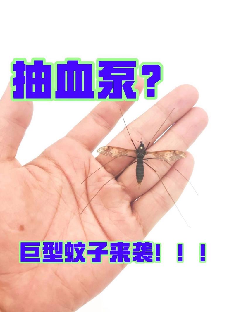 世界上最大的蚊子吃人，世界上最大的蚊子吃人变异  第4张
