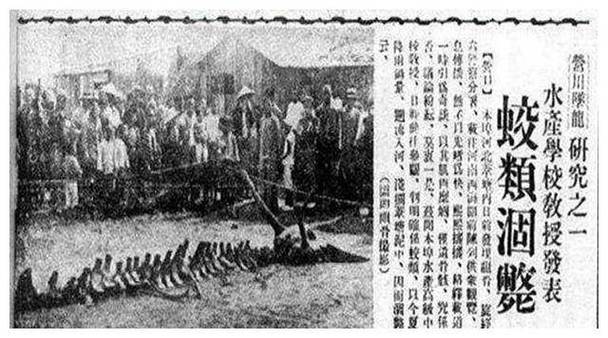 营川坠龙事件照片，营川坠龙事件照片高清  第1张