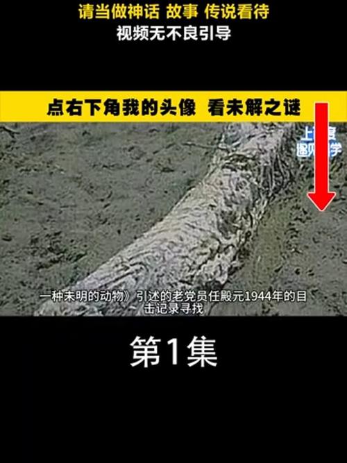 营川坠龙事件照片，营川坠龙事件照片高清  第4张