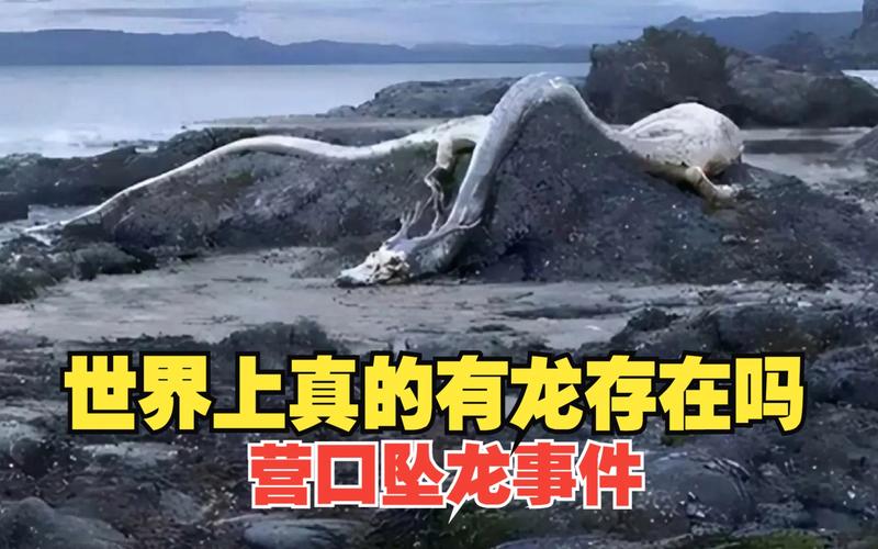 营川坠龙事件照片，营川坠龙事件照片高清  第6张