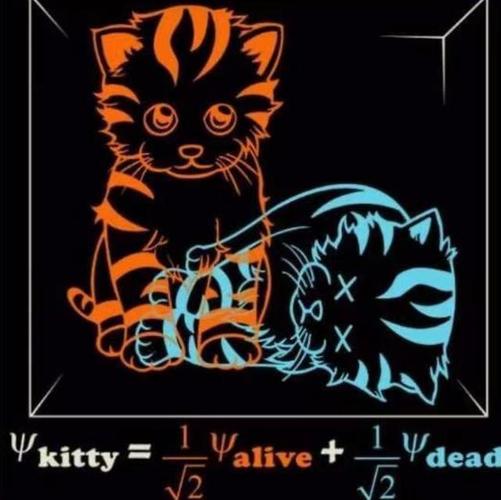 黄油猫悖论与薛定谔的猫，黄油猫悖论的意义  第3张