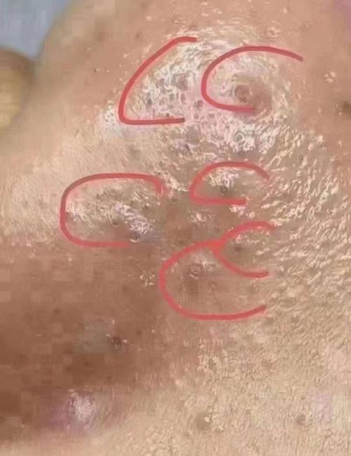 传说的故乡毛孔里挑芝麻，传说中的故乡芝麻女讲的什么故事？  第1张