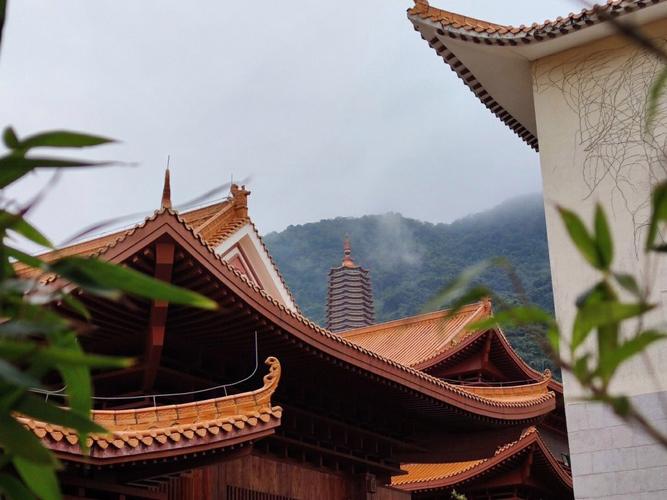 深圳前十灵异事件真实故事？深圳有哪些灵异的地方？  第1张