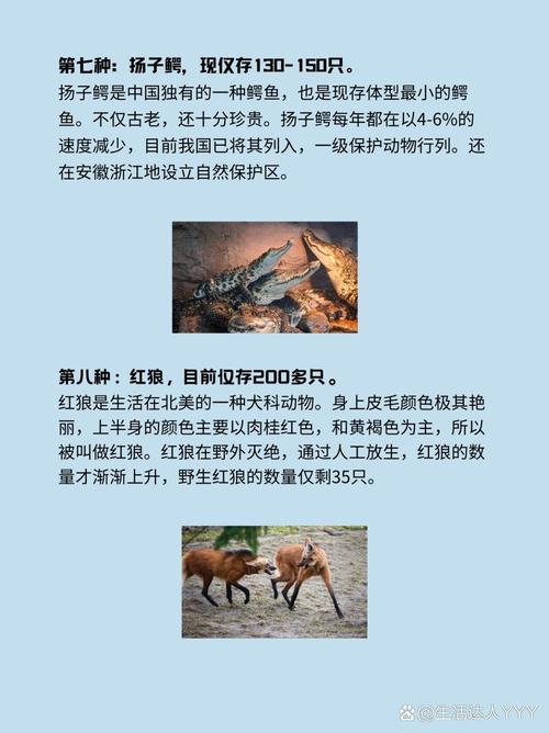中国上仅剩一只的动物，中国上仅剩一只的动物斑鳖？  第5张