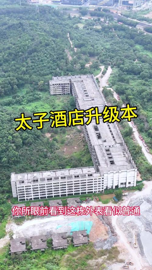砸酒店事件是真是假，砸酒店事件收费一个杯子上万  第1张