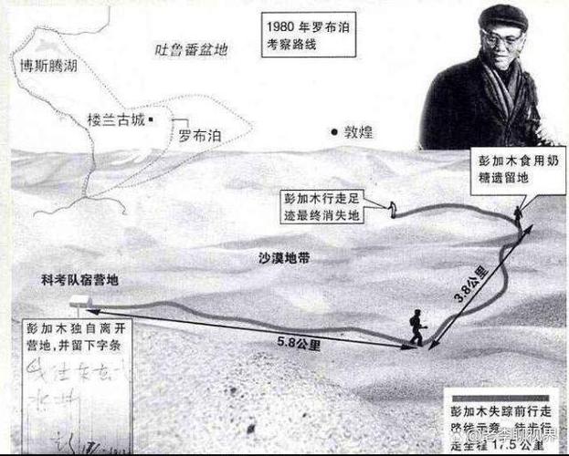 彭加木双鱼玉佩事件详细情况，彭加木的双鱼玉佩？  第5张