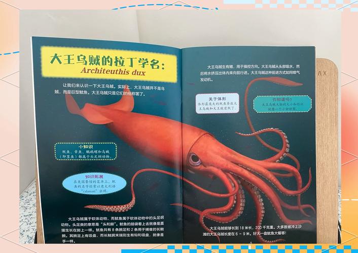 抹香鲸和大王乌贼谁厉害？抹香鲸pk大王乌贼谁会赢？  第2张