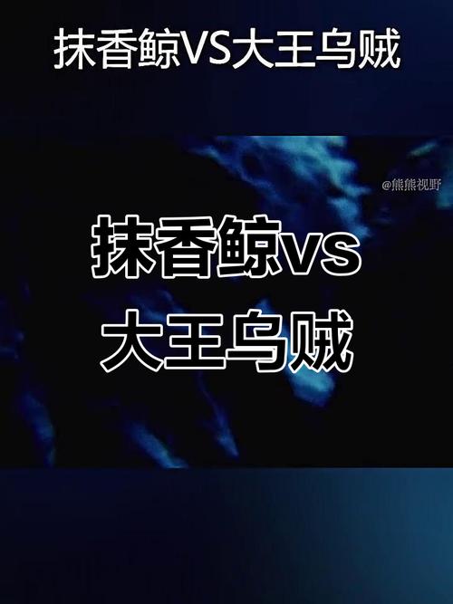 抹香鲸和大王乌贼谁厉害？抹香鲸pk大王乌贼谁会赢？  第6张
