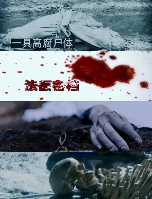 1982年安阳武器库被盗？河南安阳武器丢失事件？  第4张