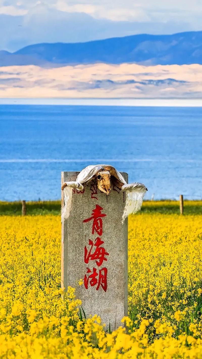 中国境内面积最大的咸水湖，中国面积最大的咸水湖叫什么名字？  第1张