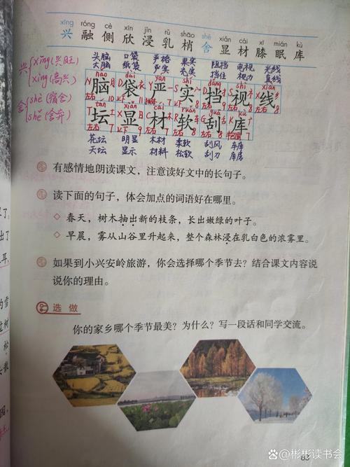 四年级下册20课有鬼，数学书上最变态的一页图片  第2张
