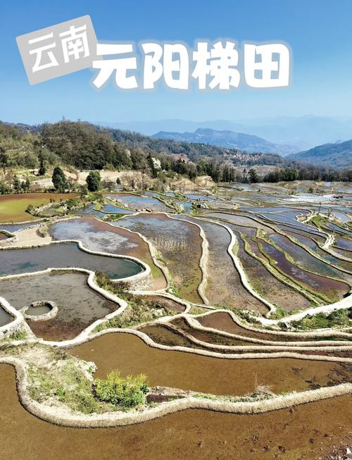 多依树梯田天气预报？多依树景区天气？  第3张