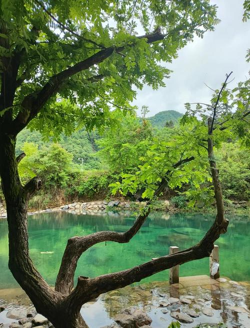 安徽池州牯牛降天气，池州石台牯牛降天气预报15天  第6张