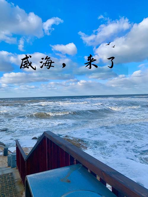 12月7号天气威海，2020年12月威海天气预报天气情况  第3张