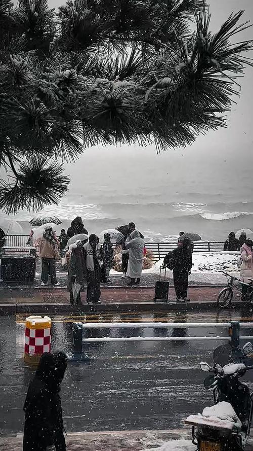12月7号天气威海，2020年12月威海天气预报天气情况  第5张