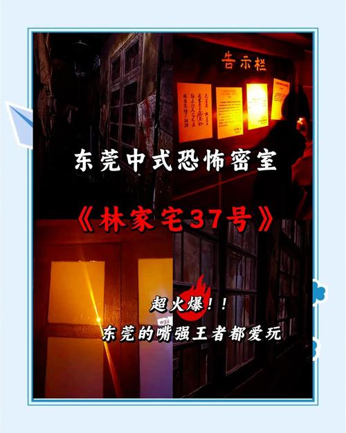 林家宅37号是真的吗？林家宅37号是真的假的？  第2张