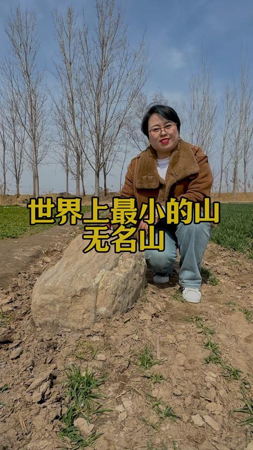 世界上最小的山，世界上最小的峰鸟约长6什么  第3张
