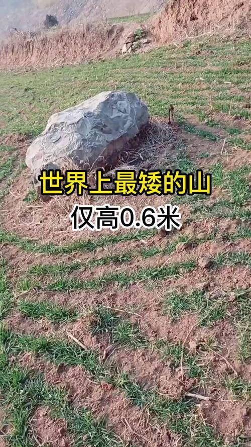 世界上最小的山，世界上最小的峰鸟约长6什么  第4张