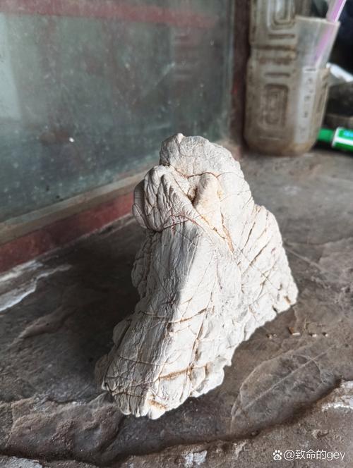世界上最小的山，世界上最小的峰鸟约长6什么  第6张