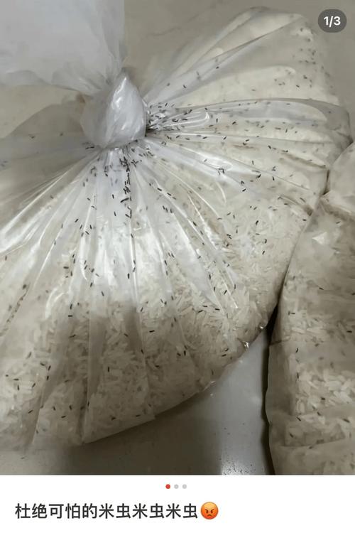 十宗罪芝麻女孩全身图片？十宗罪里面的芝麻女孩图片真人图？  第5张
