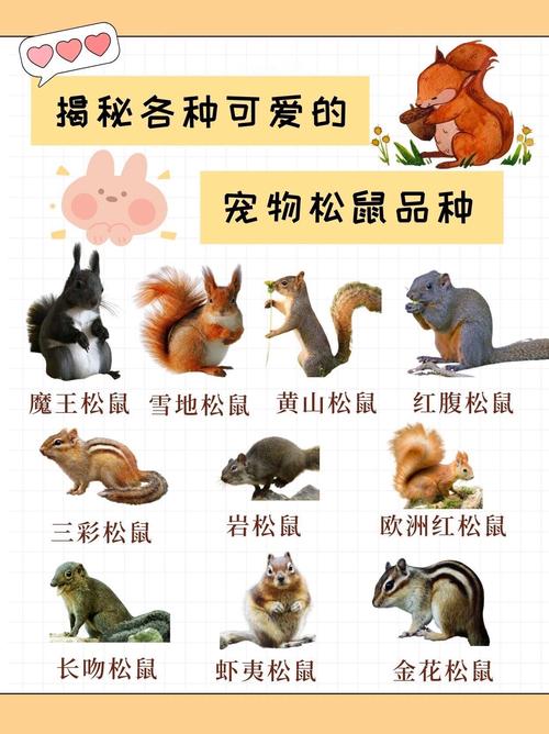 巨松鼠能养吗，巨松鼠能养吗有毒吗？  第2张