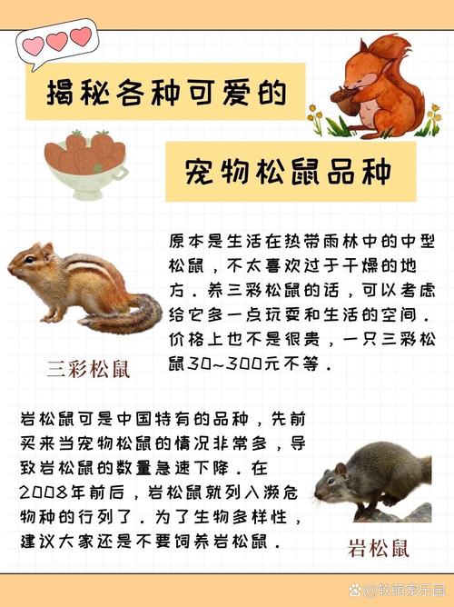 巨松鼠能养吗，巨松鼠能养吗有毒吗？  第6张