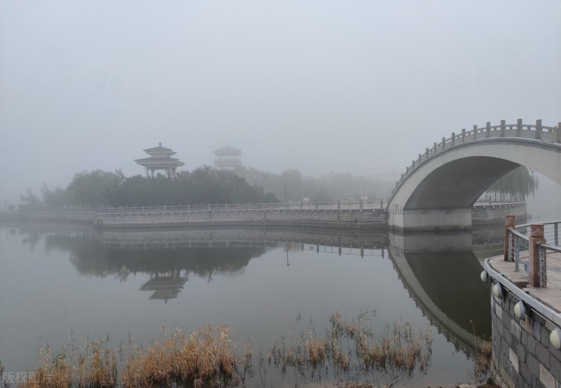 山东东营东营区天气，山东省东营市天气预报一周？  第4张
