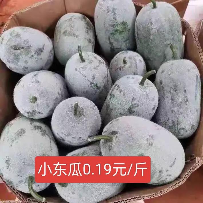 扎赉特旗兴安盟天气，中国内蒙古自治区兴安盟扎赉特旗天气  第1张