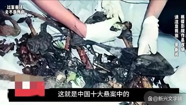 中国前十已破悬案？中国10大悬案告破？  第5张