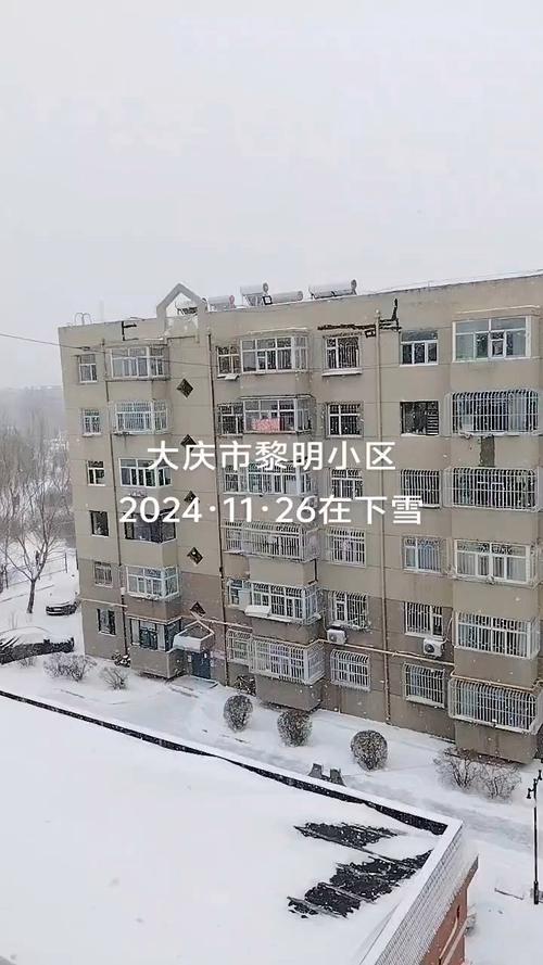 大庆市天气预报查询？大庆市天气预报查询40天？  第4张
