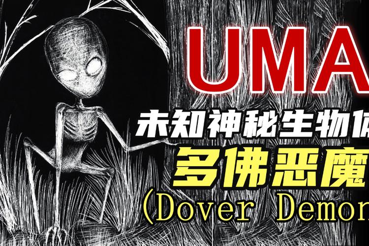 多佛恶魔的视频，多佛多做什么的  第2张