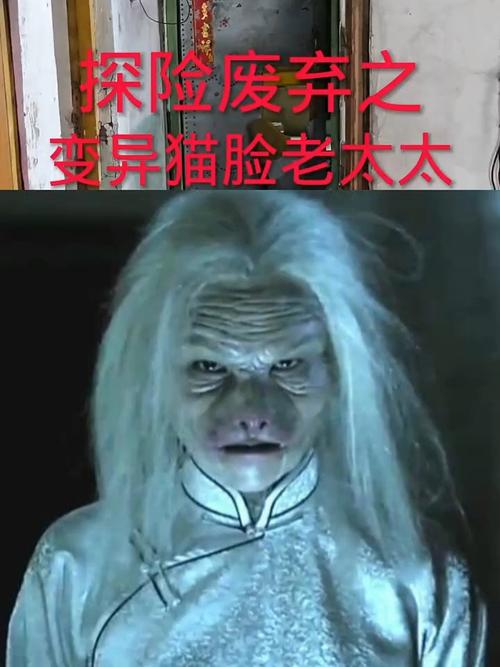 猫脸老太太电影讲解，猫脸老太太电影解说  第1张