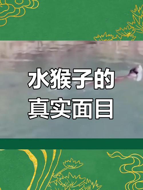 中国水怪水猴子，水怪水猴子大结局香兰？  第1张