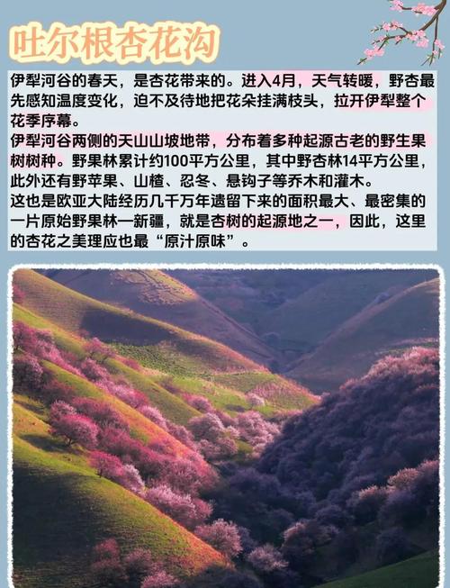 伊宁市历年天气预报，2021年1月伊宁市天气记录表？  第1张