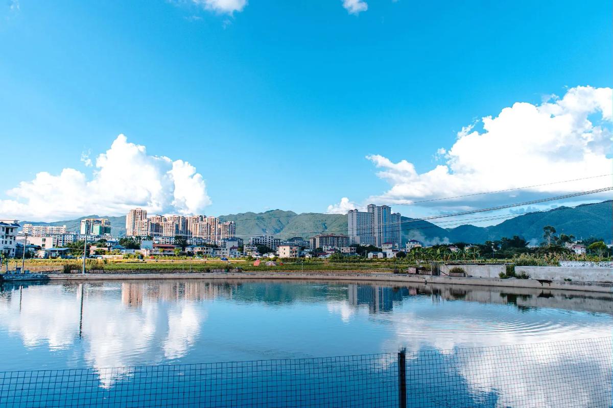 梅州蕉岭广福天气一，传承人和继承人的区别  第4张