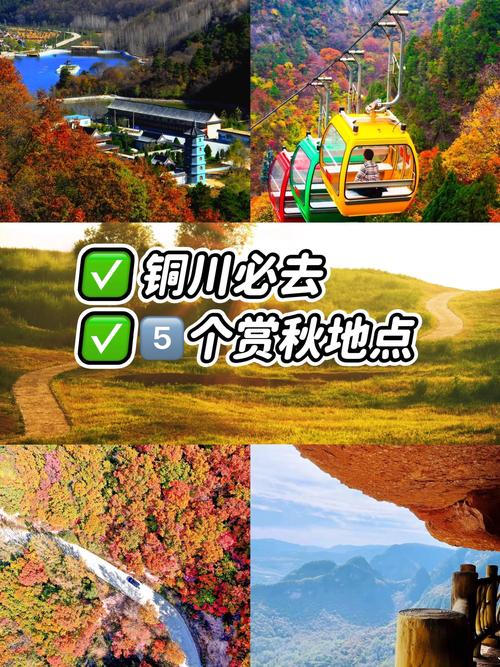 铜川9月份天气预报，铜川9月份天气预报查询？  第4张