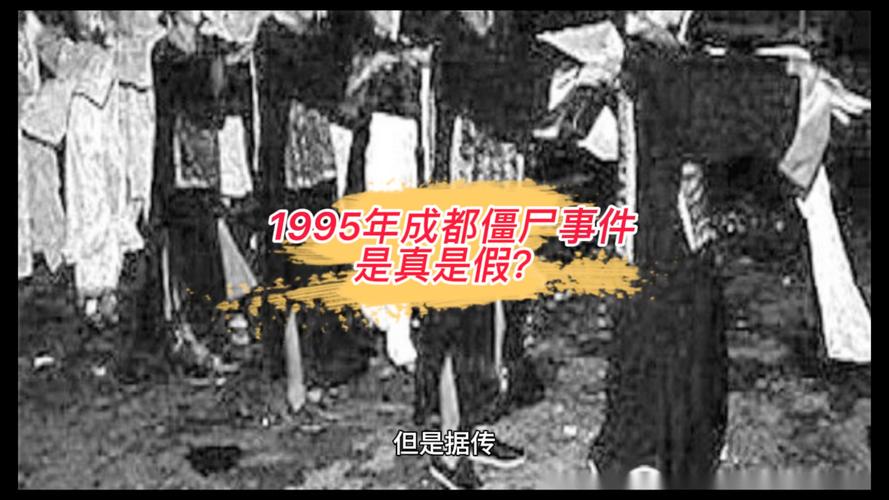 95成都僵尸事件经过，95年僵尸成都僵尸事件视频  第3张