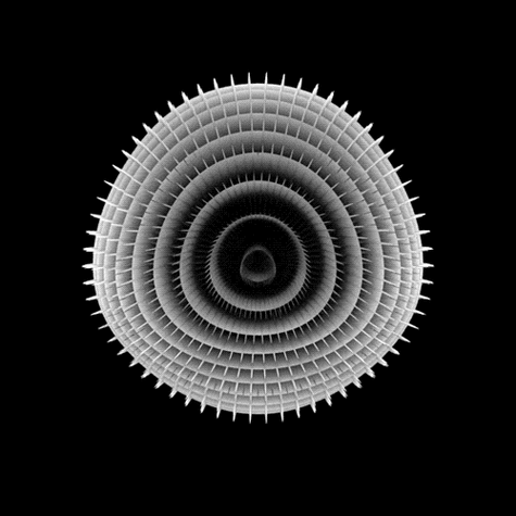动态图ufo？动态图片怎么拍？  第1张