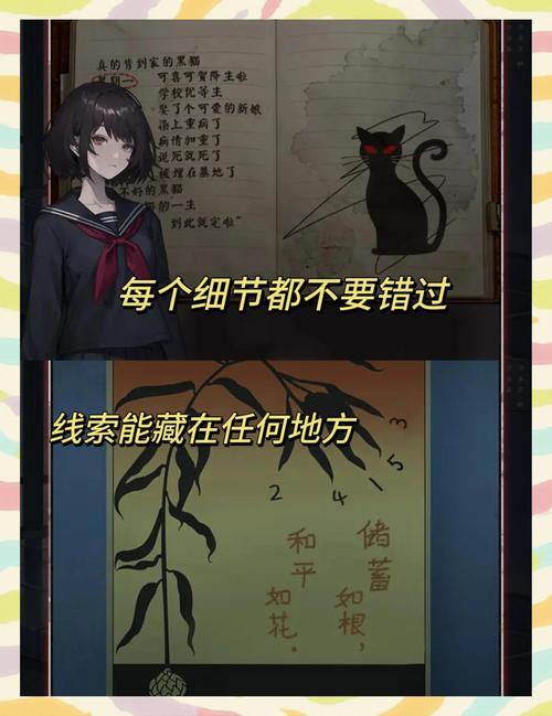 如月事件是什么东西？如月？  第6张