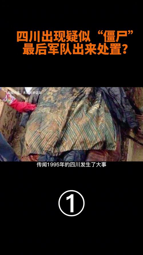 成都僵尸事件视频，成都僵尸事件真实故事  第5张