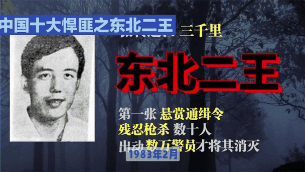 中国二王事件真相？中国大王二王？  第2张