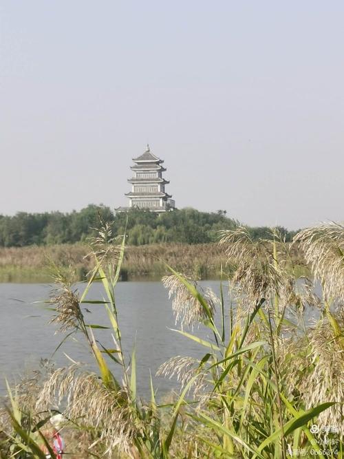 高青县详细天气预报，高青县天气预报40天  第1张